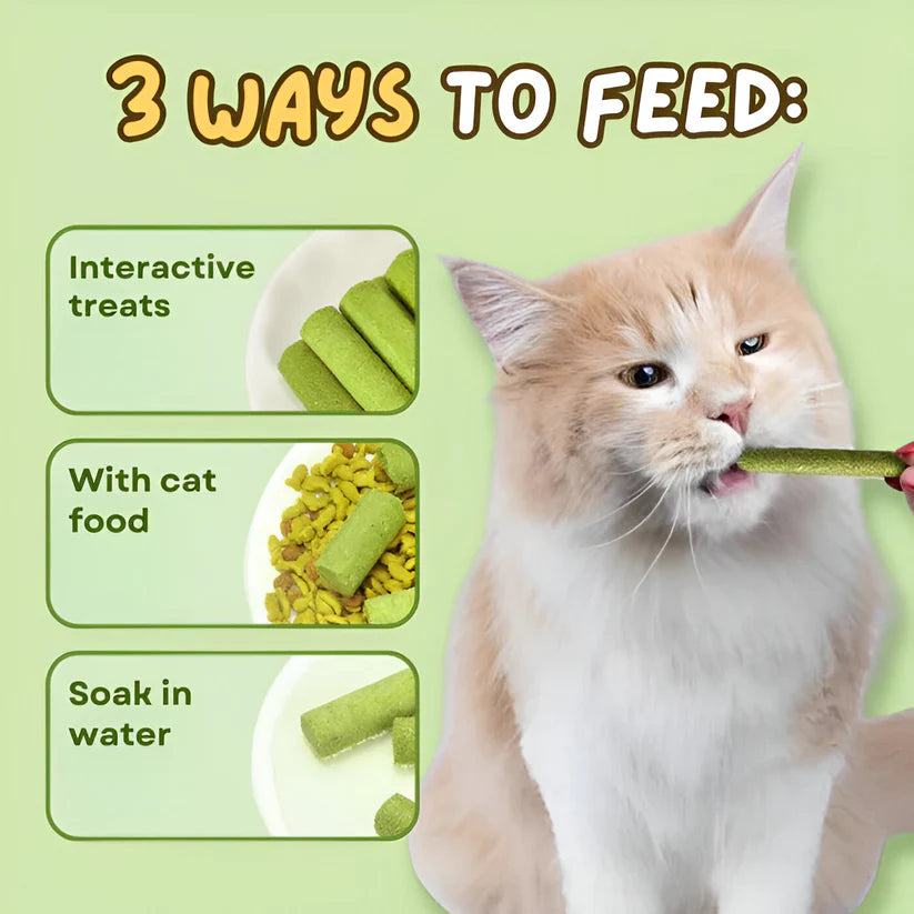 Cat Grass Teeth Stick